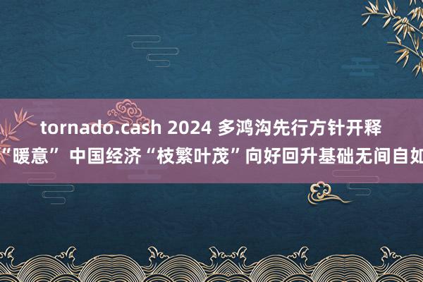 tornado.cash 2024 多鸿沟先行方针开释“暖意” 中国经济“枝繁叶茂”向好回升基础无间自如